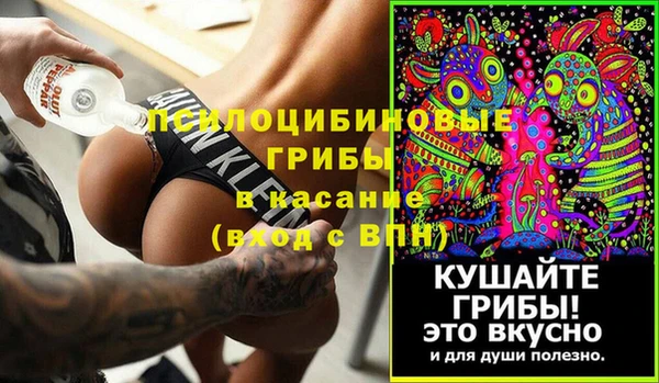 дмт Алексин