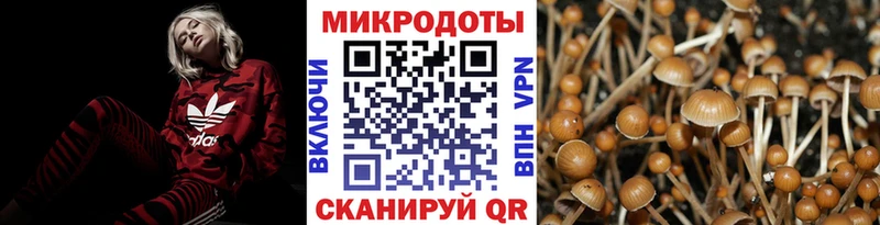 цена   Аткарск  Галлюциногенные грибы GOLDEN TEACHER 